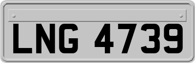 LNG4739