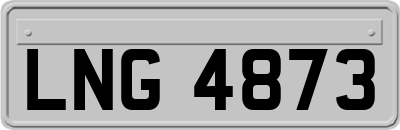 LNG4873