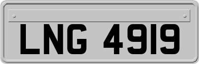 LNG4919