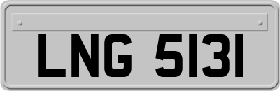 LNG5131