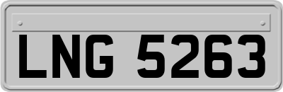 LNG5263