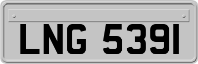 LNG5391
