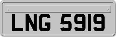 LNG5919