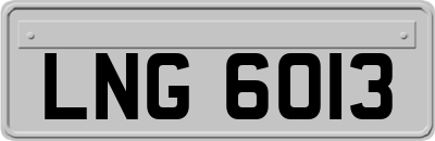 LNG6013