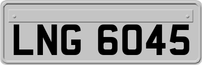 LNG6045