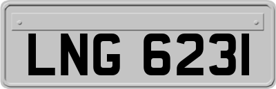 LNG6231