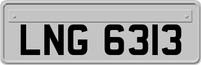 LNG6313