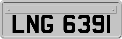 LNG6391