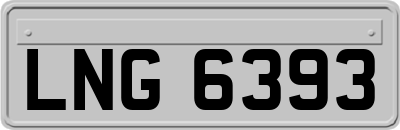 LNG6393