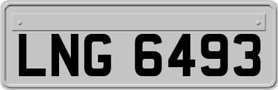 LNG6493