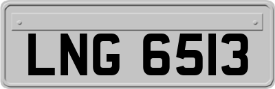 LNG6513