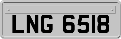 LNG6518