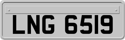 LNG6519