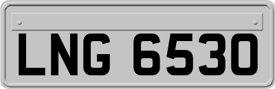 LNG6530