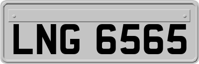 LNG6565