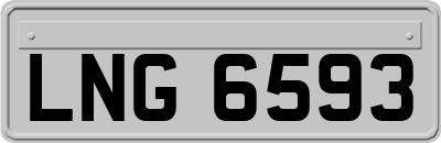 LNG6593