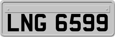 LNG6599