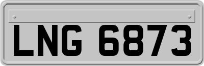 LNG6873