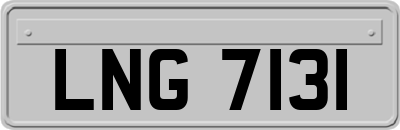 LNG7131
