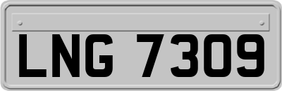 LNG7309