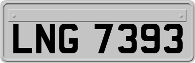 LNG7393