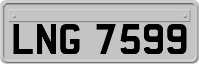 LNG7599