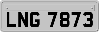 LNG7873