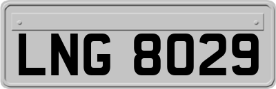 LNG8029