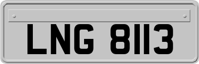 LNG8113