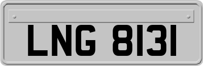 LNG8131