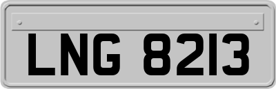LNG8213