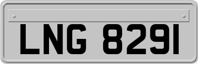 LNG8291