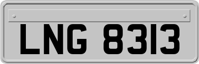 LNG8313