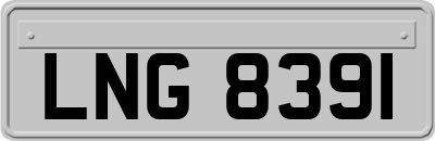 LNG8391