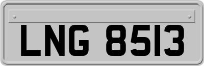 LNG8513