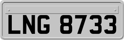 LNG8733