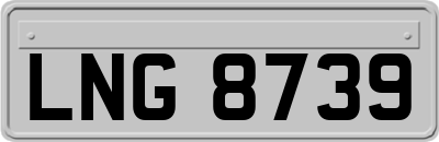 LNG8739