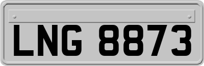 LNG8873