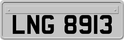 LNG8913