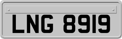 LNG8919
