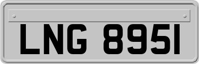 LNG8951