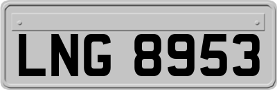 LNG8953