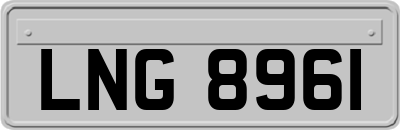 LNG8961