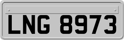 LNG8973