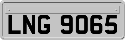 LNG9065