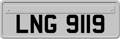 LNG9119