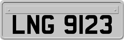 LNG9123