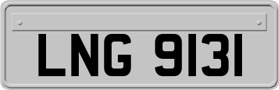 LNG9131