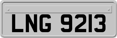 LNG9213