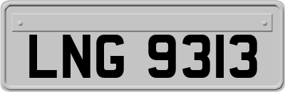 LNG9313